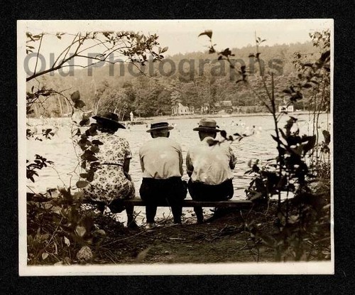 Woods lake friends back - woods,