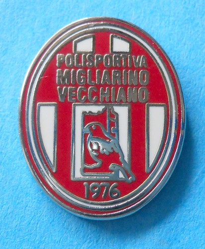 Distintivo spilla pin badge - distintivo,